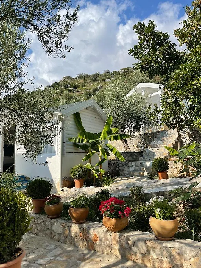 Alevra Hotel Dhermi