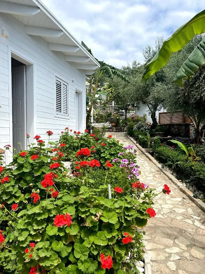 Alevra Hotel Dhermi Albania