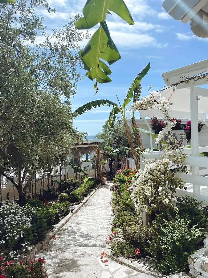 Hotel Alevra Dhërmi